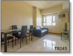 1BR-TRI45