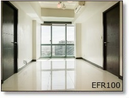 2BR-EFR100